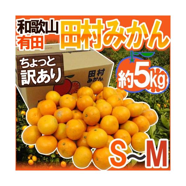 ݂ a̎RLcY hc݂h Ɩ󂠂 S`M 5kg Yny\ 11ȍ~z 