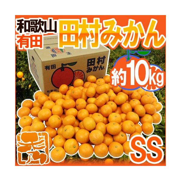 ݂ a̎RLcY hc݂h Gi SS 10kg Yny\ 11ȍ~z 