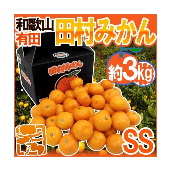 ݂ a̎RLcY hc݂h Gi SS 3kg ϔy\ 11ȍ~z 