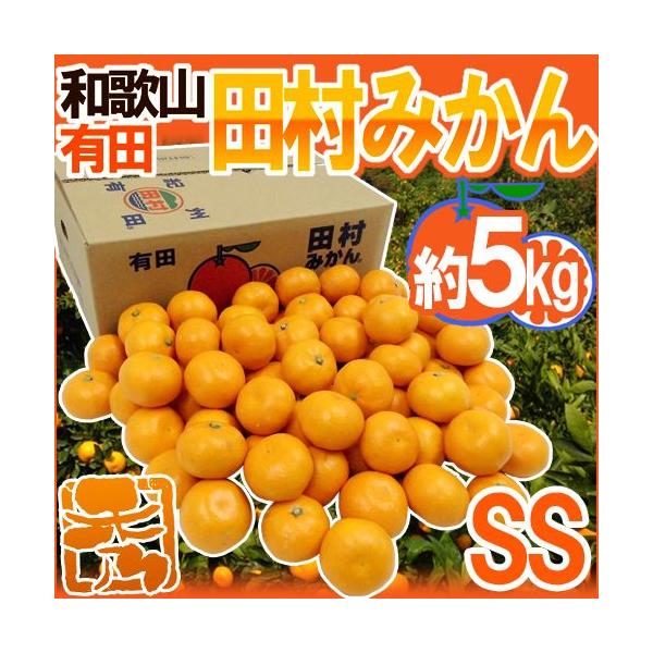 ݂ a̎RLcY hc݂h Gi SS 5kg Yny\ 11ȍ~z 