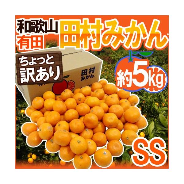 ݂ a̎RLcY hc݂h Ɩ󂠂 SS 5kg Yny\ 11ȍ~z 