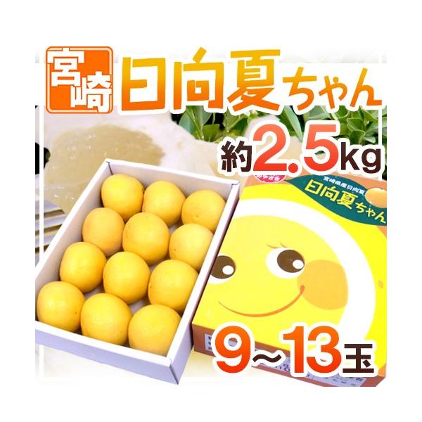 {茧Y hāh 9`13 2.5kg ϔy\ 12ȍ~z 