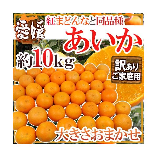 hQY g܂ǂȂƓi h 󂠂 10kg 傫܂y\ 11ȍ~z 