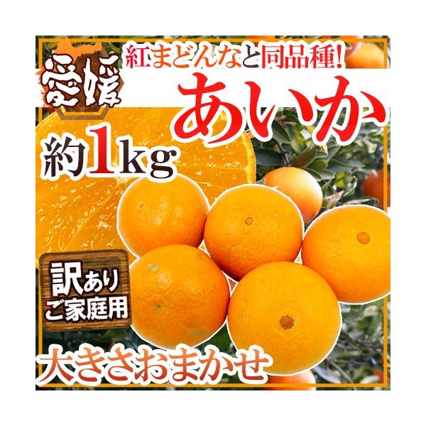 hQY g܂ǂȂƓi h 󂠂 1kg 傫܂y\ 11ȍ~z