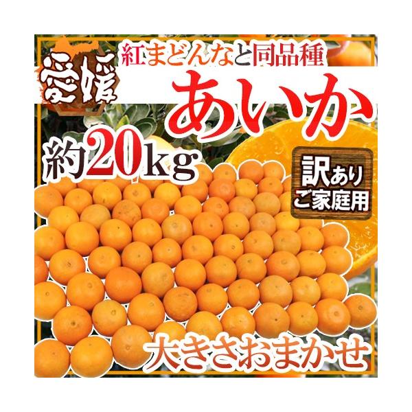 hQY g܂ǂȂƓi h 󂠂 20kg 傫܂y\ 11ȍ~z 