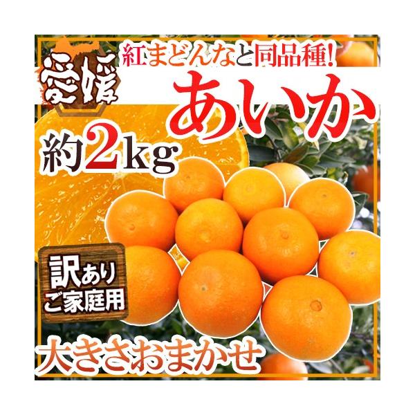 hQY g܂ǂȂƓi h 󂠂 2kg 傫܂y\ 11ȍ~z 