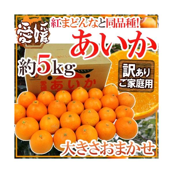 hQY g܂ǂȂƓi h 󂠂 5kg 傫܂y\ 11ȍ~z 