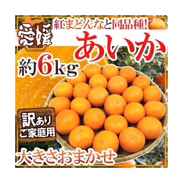 hQY g܂ǂȂƓi h 󂠂 6kg 傫܂y\ 11ȍ~z 