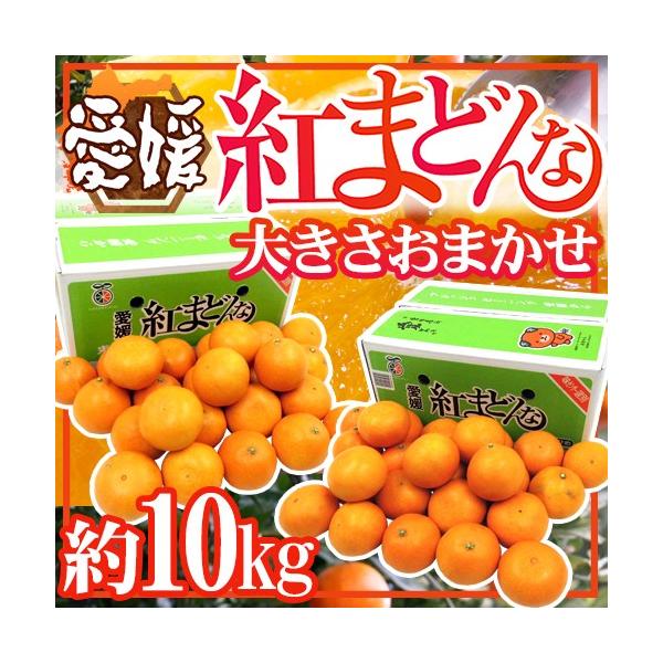 まどんな 10kg」の人気商品一覧 | 安い商品を通販サイトから探す