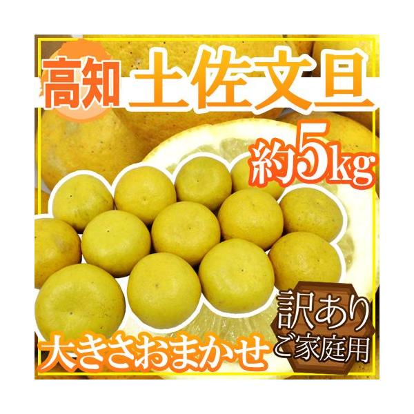 [Release date: February 10, 2026]【送料無料】独特の爽やかな香りと甘みと酸味のバランス、プリプリ食感！グレープフルーツよりも上品でキレのある味わいは柑橘好きならハマること間違いなし！？上品な味わいは女性にオス...