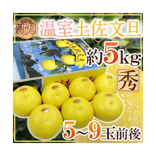 ym hyUh Gi 5`9ʑO 5kgy\ 12ȍ~z 