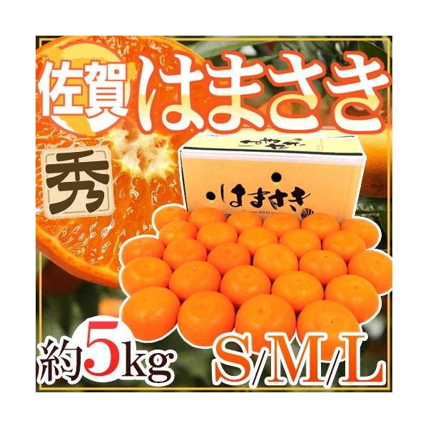 [Release date: February 10, 2026]【送料無料】"清見オレンジ""マーコット""アンコール"３種の柑橘をいいとこどりした「せとかの姉妹・麗紅」の中でも、美しく糖度の高いものだけを詰めた特撰品！/ハマサキ/麗紅/...