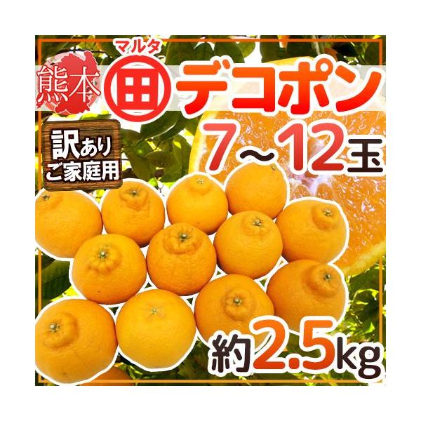 訳ありデコポン」の人気商品一覧 | 安い商品を通販サイトから探す