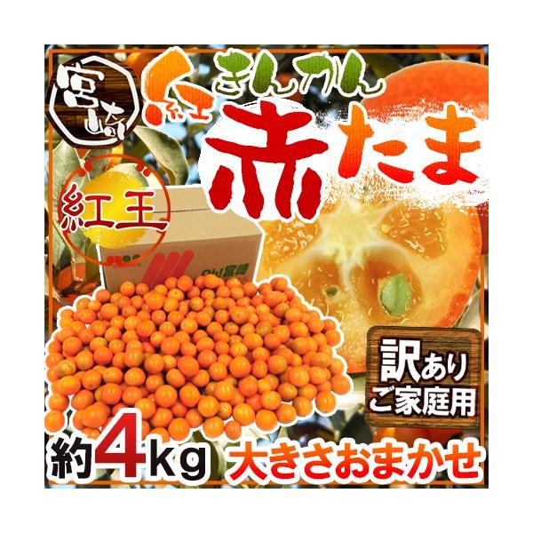 {茧 Ԃ hԂ gh 󂠂 4kg 傫܂ 񂩂y\ 12ȍ~z 