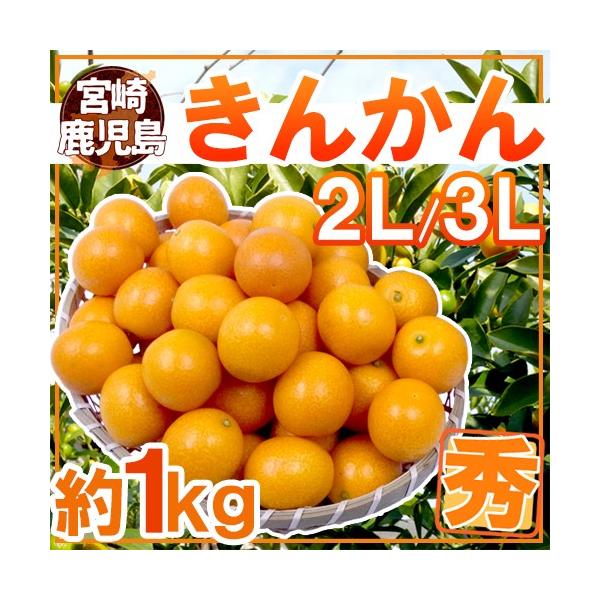 {E h񂩂h Gi 2L`3L 1kg y\ 12ȍ~z