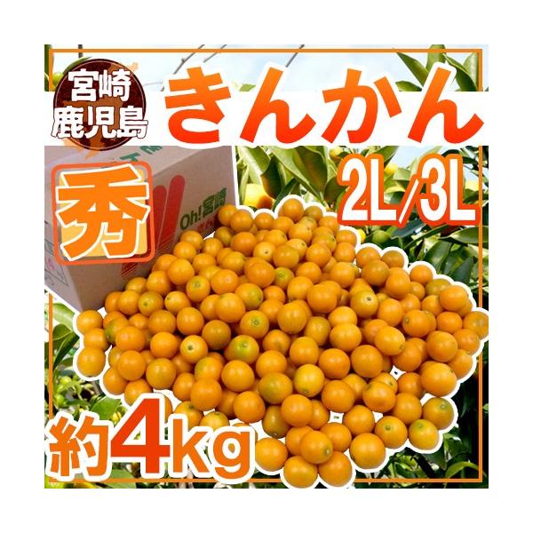 {E h񂩂h Gi 2L`3L 4kg y\ 12ȍ~z 