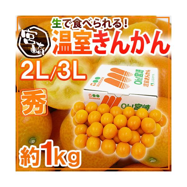 {茧 h񂩂h Gi 2L`3LTCY 1kg ϔ y\ 12ȍ~z 