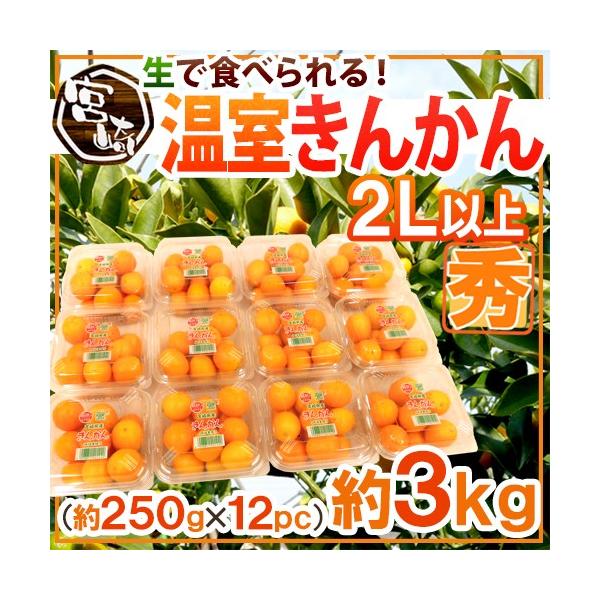 {茧 h񂩂h Gi 2Lȏ 250g×s12pctiv3kgjy\ 11{ȍ~z 