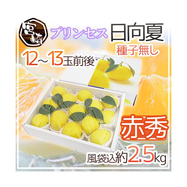 {茧Y hvZX āh ԏGi 12`13ʑO ܍2.5kg ϔ qy\ 12{ȍ~z 