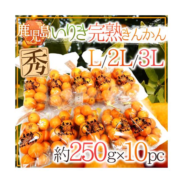 Y hn񂩂 肫h Gi L`3LTCY 250g×s10pcty\ 12ȍ~z 