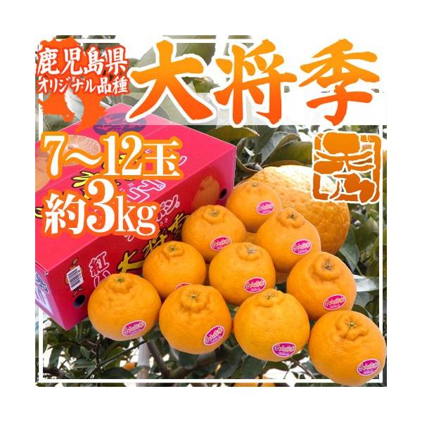 Y hfR| 叫Gh Gi 7`12 3kg Ynϔy\ 12ȍ~z 