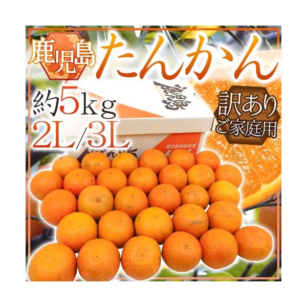 �������Y �h���񂩂�h �󂠂� ���2L/3L�T�C�Y ��5kg�y�\�� 2�����{�ȍ~�z ��������