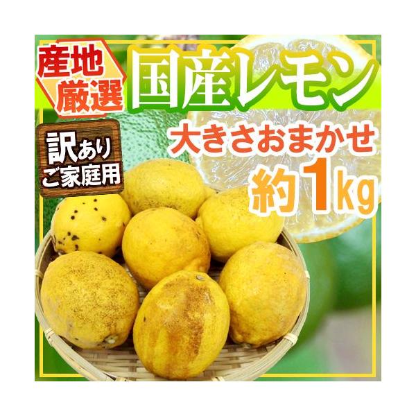 hnYh 󂠂 1kg 傫܂ YnIy\ ׎攭z 