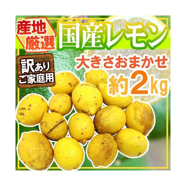 hnYh 󂠂 2kg 傫܂ YnIy\ ׎攭z 