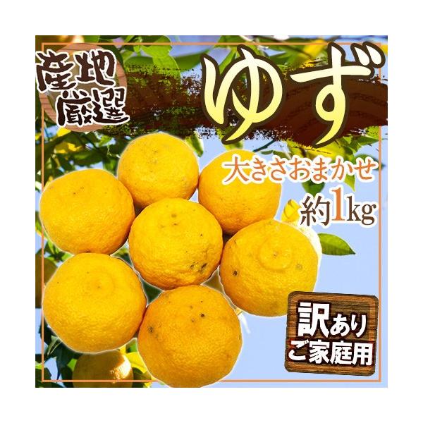 h䂸h 󂠂 1kg 傫܂ YnIy\ 11{ȍ~z