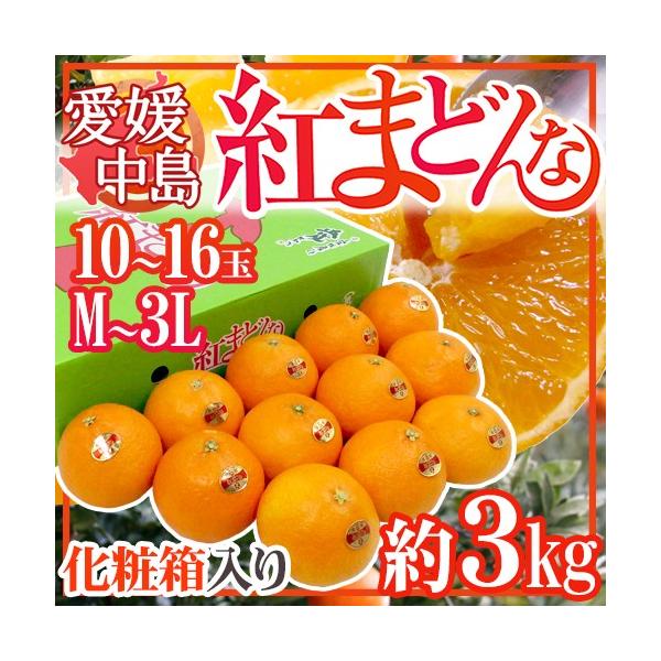 QY hg܂ǂȁh M`3L 10`16 3kg ƒp ϔy\ 12ȍ~z 