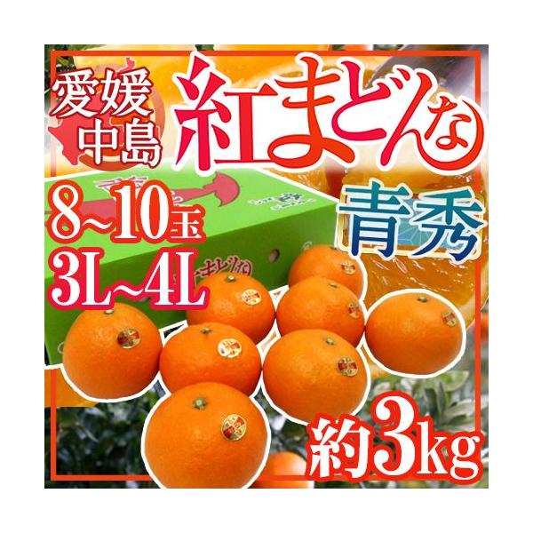 QY hg܂ǂȁh Gi 3L`4L 8`10 3kgyΕE\ 12ȍ~z 