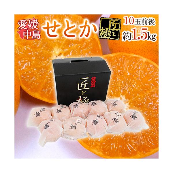 [Release date: February 20, 2026]【送料無料】"清見オレンジ""マーコット""アンコール"３種の柑橘をいいとこどりした「柑橘の大トロ」せとか！！ＴＶや雑誌にもとりあげられ、海外からも注目を浴びる新品種♪柑橘王...