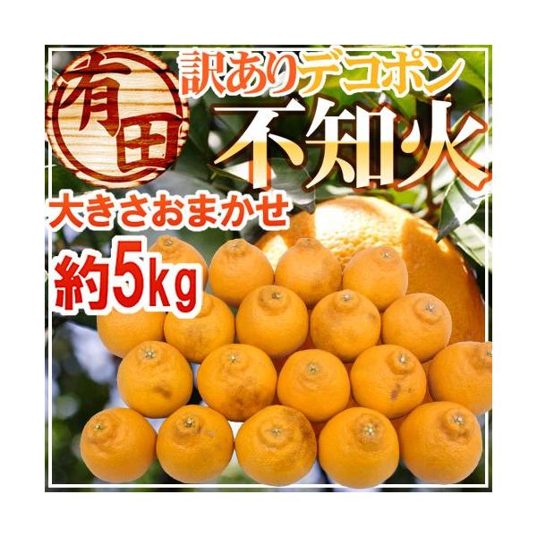 [Release date: February 25, 2026]【送料無料】JA有田　顔は悪いが中身で勝負♪食べてみると意外と、いや、かなり美味しい！？糖度計測していないのでデコポンとは名乗れませんが、糖度１３度以上の物も入っています♪/...