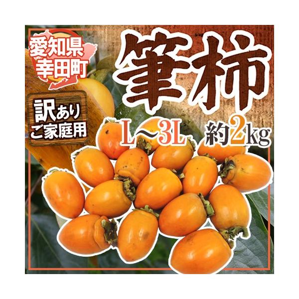 hm Kc M`h 󂠂 2kg ӂŊ`y\ 10ȍ~z 