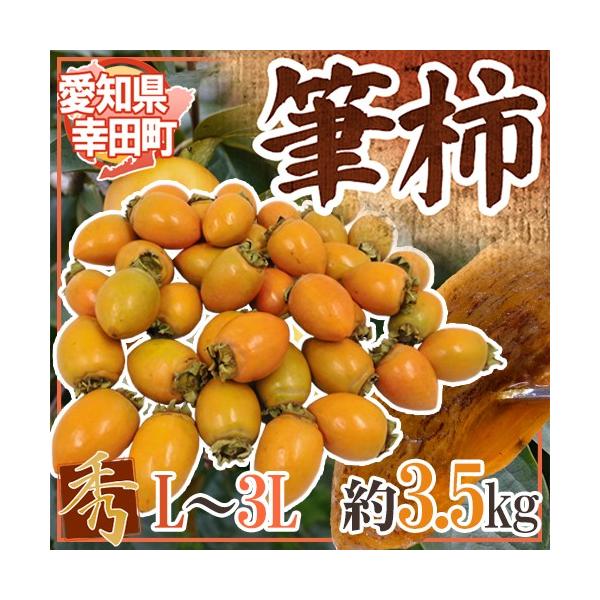 hm Kc M`h Gi L`3L 3.5kg ӂŊ`y\ 9{ȍ~z 