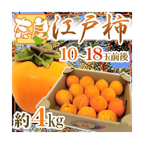 `E݂邵`p hޗǌg a` ]ˊ`h 10`18ʑO 4kgy\ 11ȍ~z 