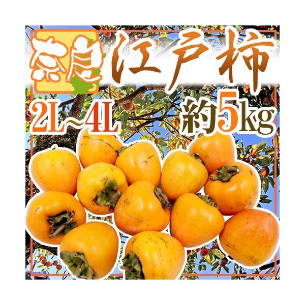 `E݂邵`p hޗǌg a` ]ˊ`h 2L`4L 5kgy\ 11ȍ~z 