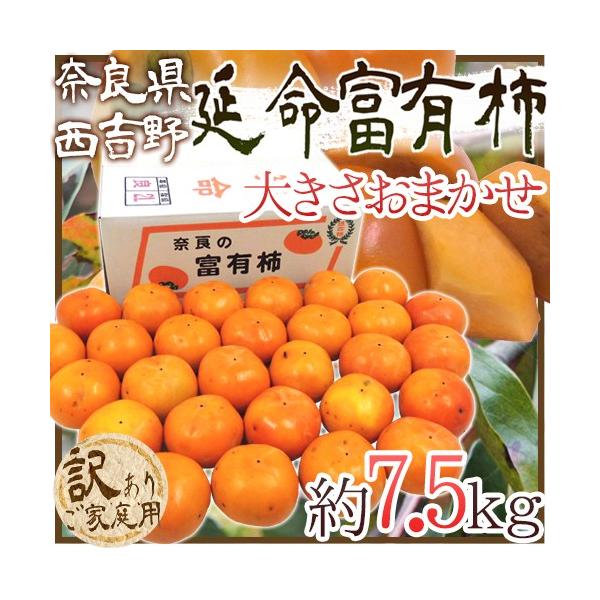 ޗǎY hxL`h 󂠂 7.5kg 傫܂y\ 11ȍ~z 