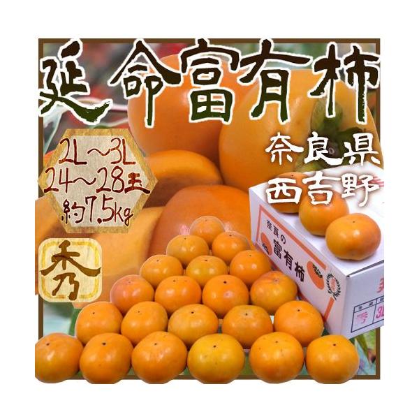 ޗǎY hxL`h Gi 2L`3L 24`28 7.5kgy\ 11ȍ~z 