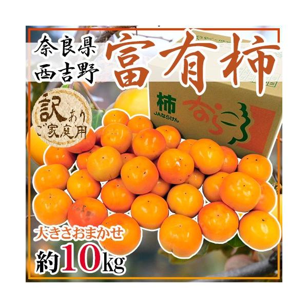 ޗǌgY hxL`h 󂠂 傫܂ 10kgy\ 11ȍ~z 