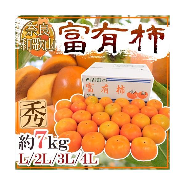 a̎REޗǎY hxL`h Gi L/2L/3L/4LTCY 7kgy\ 11ȍ~z 