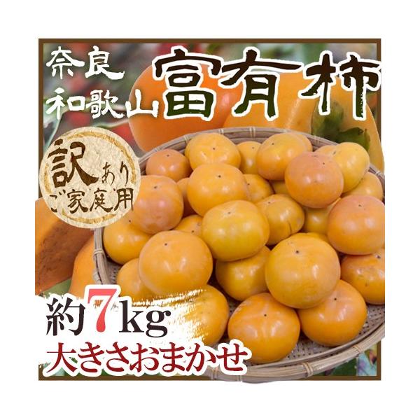 a̎REޗǎY hxL`h 󂠂 7kg 傫܂y\ 11ȍ~z 