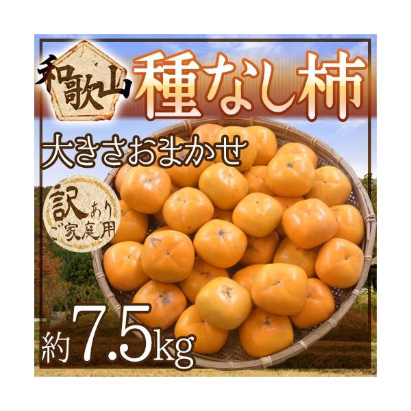 a̎RY h˂Ȃ`h 󂠂 7.5kg 傫܂y\ 9ȍ~z 