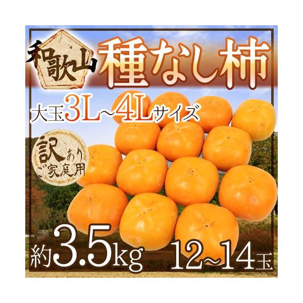 ha̎RY ˂Ȃ`h 󂠂 3L`4LTCY 12`14 3.5kgy\ 10ȍ~z 