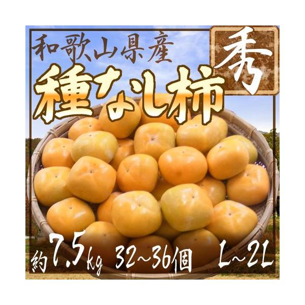 a̎RY h˂Ȃ`h Gi L`2LTCY 32`36 7.5kgy\ 10ȍ~z 