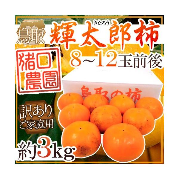 挧 _ hPY`h 󂠂 8`12ʑO 3kgy\ 10{ȍ~z 