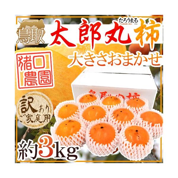 挧 _ hYۊ`h 󂠂 3kg 傫܂y\ 10{ȍ~z 