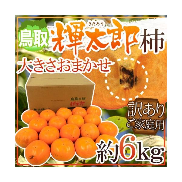 Y hPY`h 󂠂 6kg 傫܂y\ 10ȍ~z 