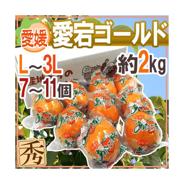 hQ S[hh Gi L`3L 7`11 2kg `y\ 12{ȍ~z 