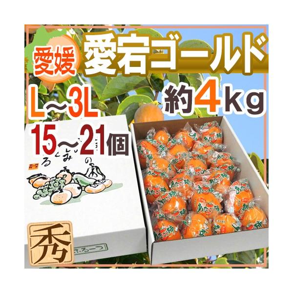 hQ S[hh Gi L`3L 15`21 4kg `y\ 12{ȍ~z 